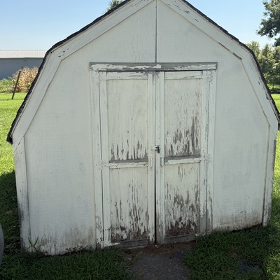 Our storage shed is showing it’s age
